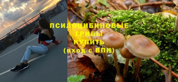 дурь Алексин