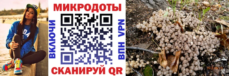 Псилоцибиновые грибы Psilocybine cubensis  дарнет шоп  Майкоп 